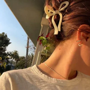 کلیپس پاپیونی